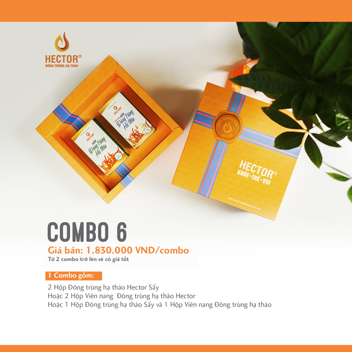 Combo 6 hộp quà đông trùng hạ thảo Hector