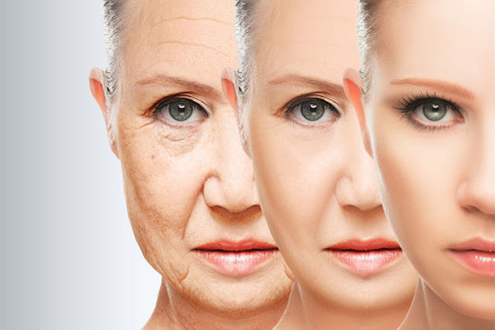 Quá trình lão hoá làm giảm chất lượng collagen khiến da trở nên kém đàn hồi