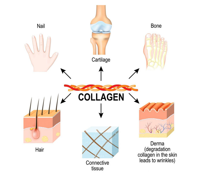 Tác dụng của collagen nước