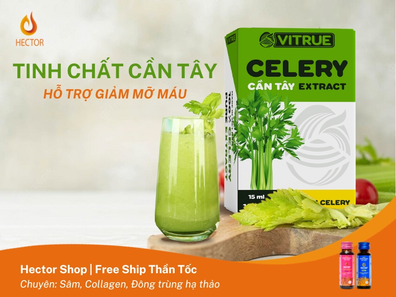 Vitrue Celery Tinh Chất Cần Tây