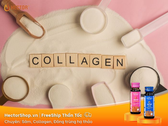 Chọn collagen tốt nhất cần quan tâm kỹ đến nguồn gốc