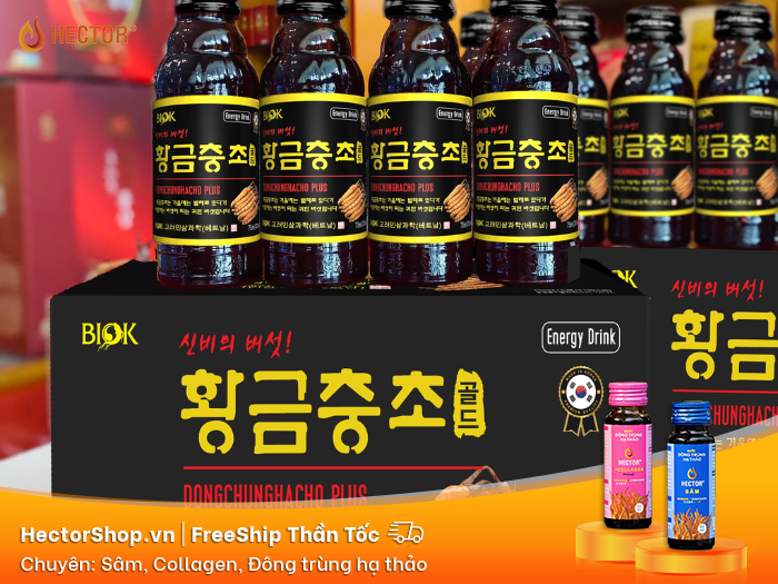 Top 5 thương hiệu Đông trùng hạ thảo Hàn Quốc phổ biến nhất