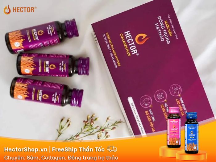 Hector Collagen Plus hỗ trợ gia tăng collagen trong cơ thể