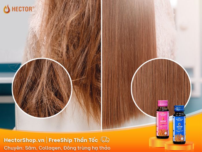 Ủ tóc collagen giúp tóc phục hồi hư tổn, ngừa gãy rụng
