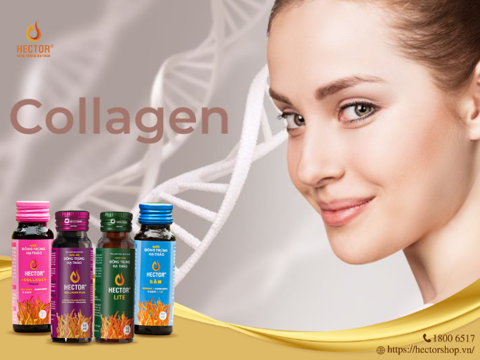 Collagen không tăng khả năng thụ thai