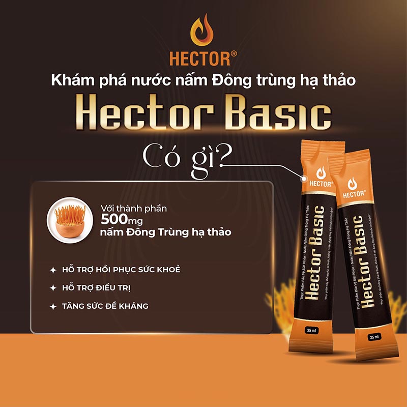 Thành phần có trong Hector Basic