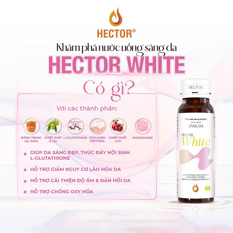 Ưu điểm vượt trội của Hector White