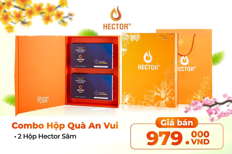 Hộp quà 2 hộp Hector sâm dành cho ba mẹ