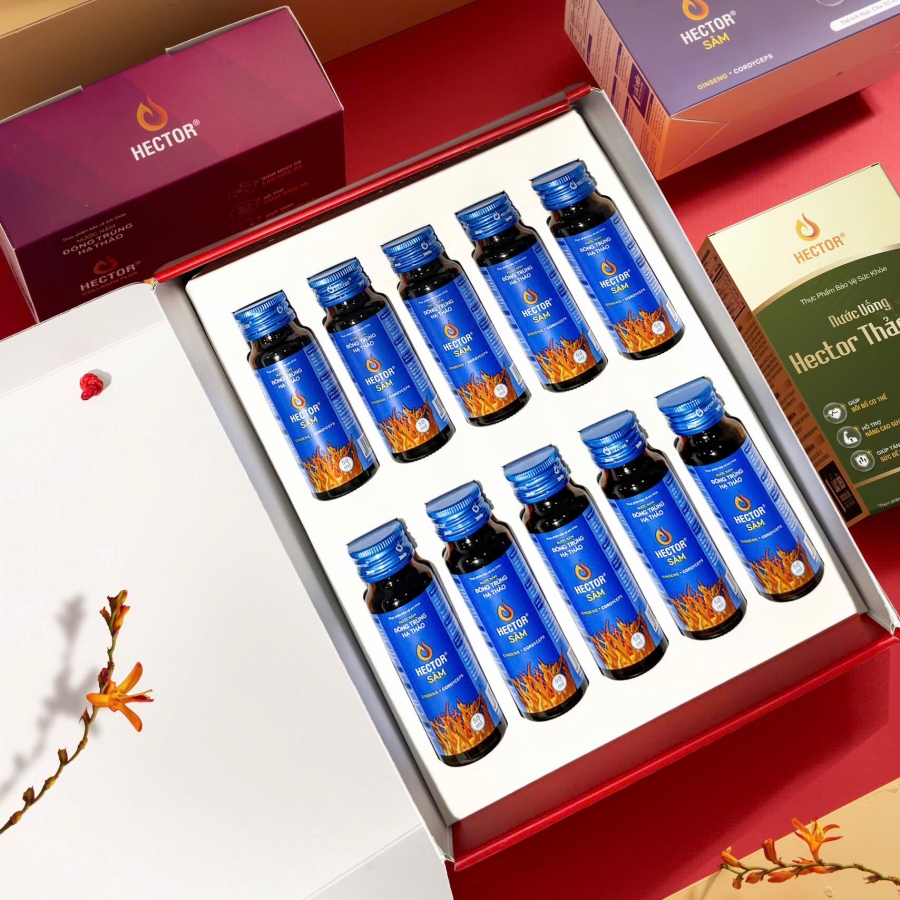 Combo Quà tặng Hector Sâm