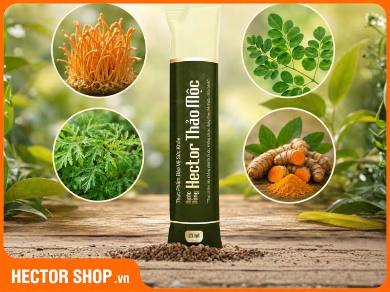 Các thành phần chính có trong Hector Thảo mộc
