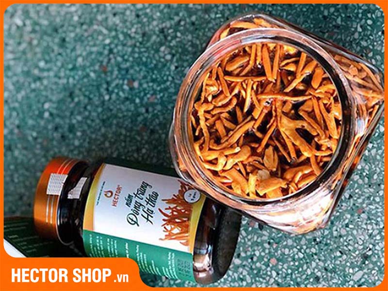 Nấm đông trùng hạ thảo ngâm mật ong