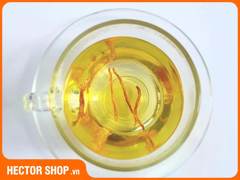 Đông trùng hạ thảo có nhiều lợi ích đối với sức khoẻ người già