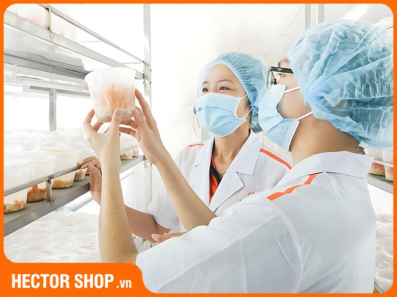 Đông trùng hạ thảo chứa nhiều dược chất đáng quý