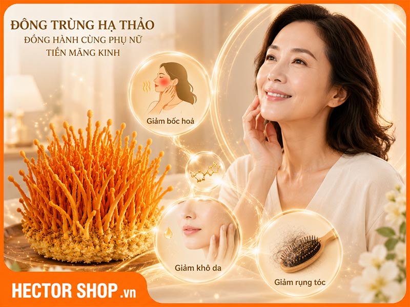 Tác Dụng Nổi Bật Của Đông Trùng Hạ Thảo Đối Với Phụ Nữ
