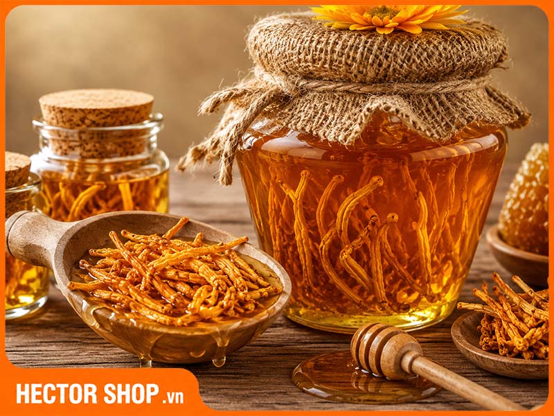 Ai Nên Thận Trọng Với Đông Trùng Hạ Thảo Ngâm Mật Ong?