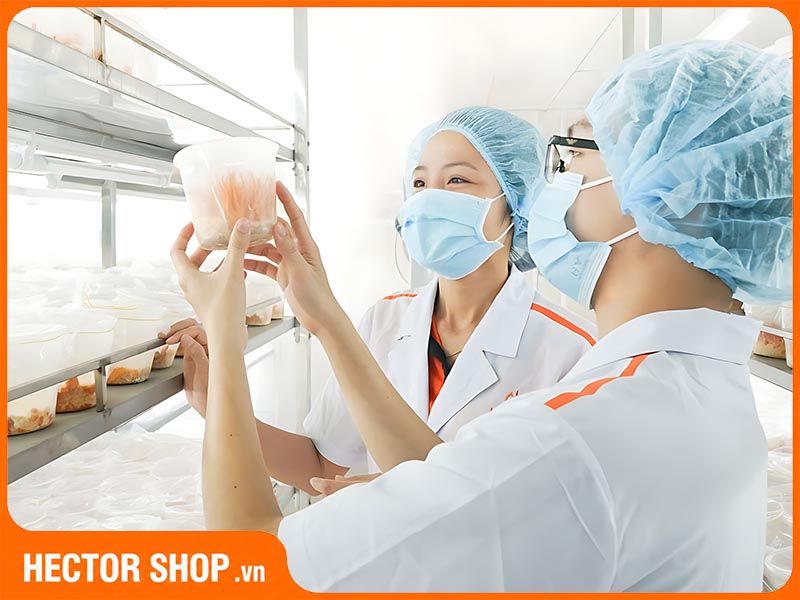 Hector - Thương hiệu đông trùng hạ thảo chất lượng cao