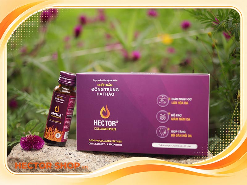Hector Collagen Plus