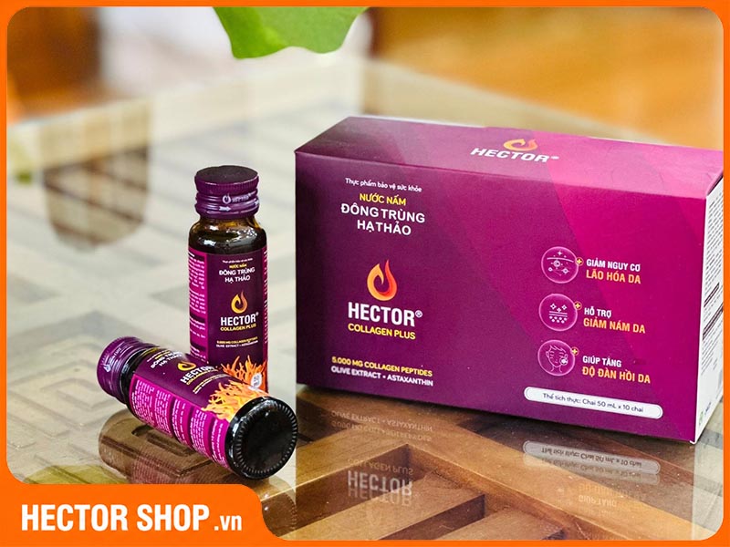 Quy cách đóng gói Hector Collagen Plus