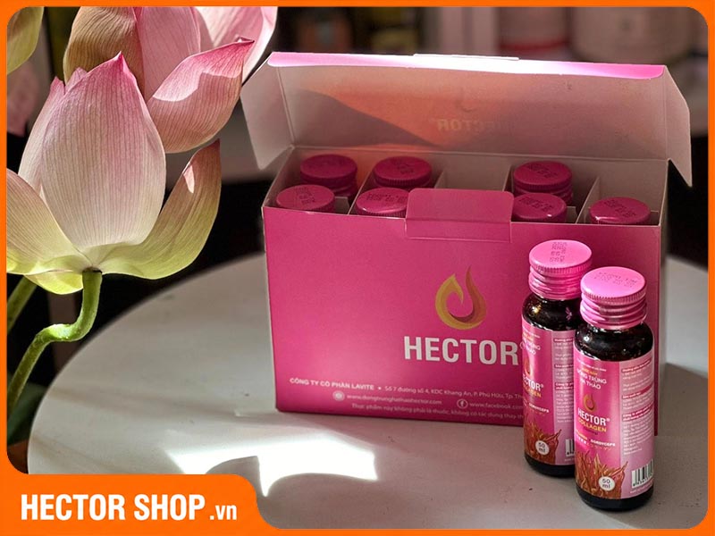 Quy cách đóng gói Hector Collagen