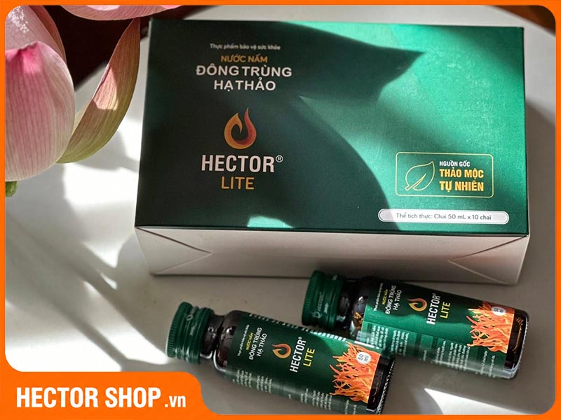 Quy cách đóng gói Hector Lite