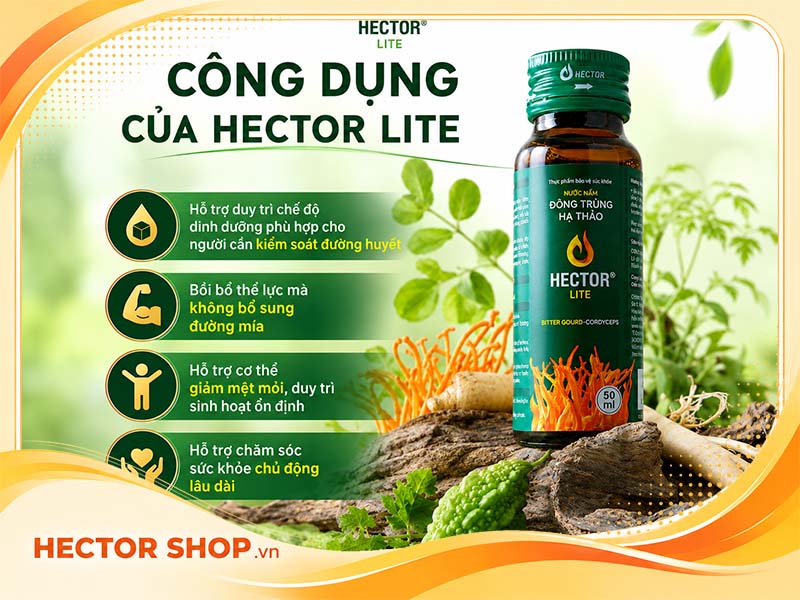 Hector Lite hỗ trợ ổn định đường huyết
