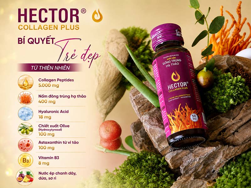 thành phần của Hector Collagen Plus