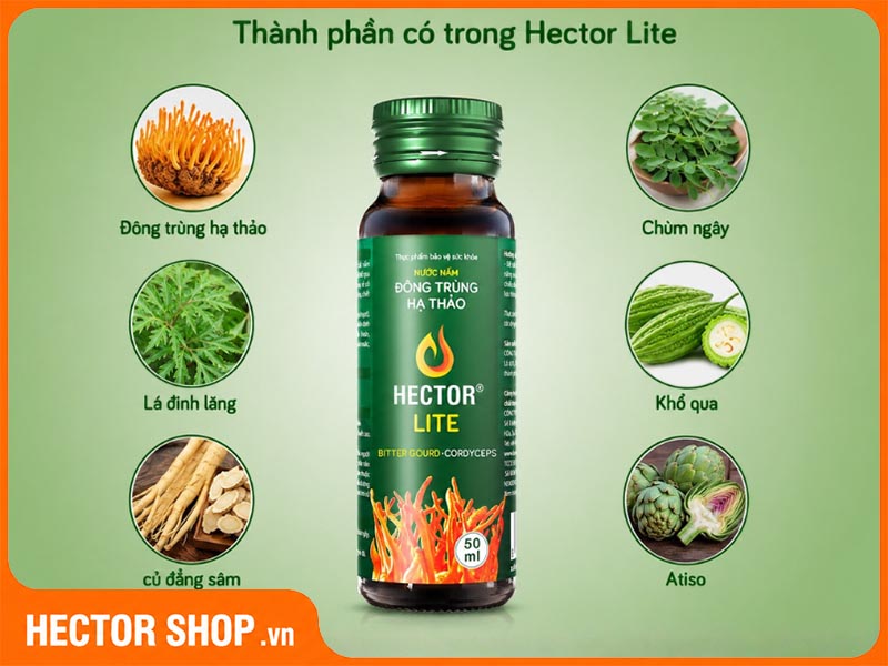 Thành phần dược liệu có trong Hector Lite