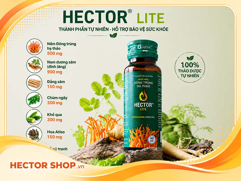 Thành phần dược liệu trong Hector Lite