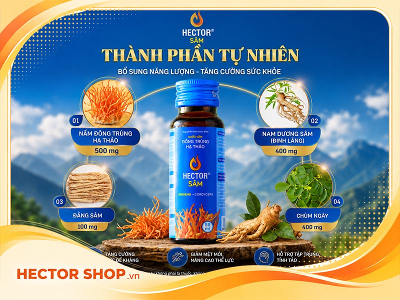 Thành phần có trong Hector Sâm