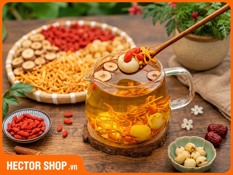 Trà đông trùng hạ thảo kết hợp với kỷ tử và táo đỏ