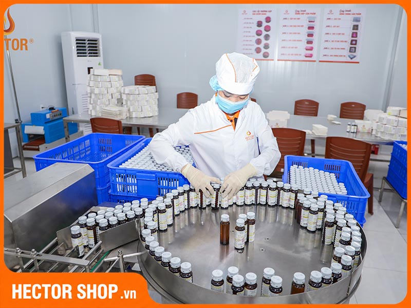 Các sản phẩm collagen của Hector giúp hỗ trợ làm đẹp bền vững