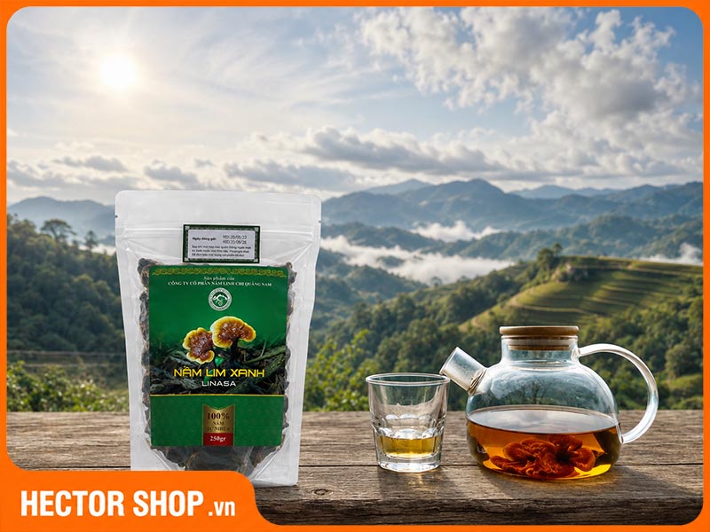 Cách sử dụng nấm lim xanh Linasa