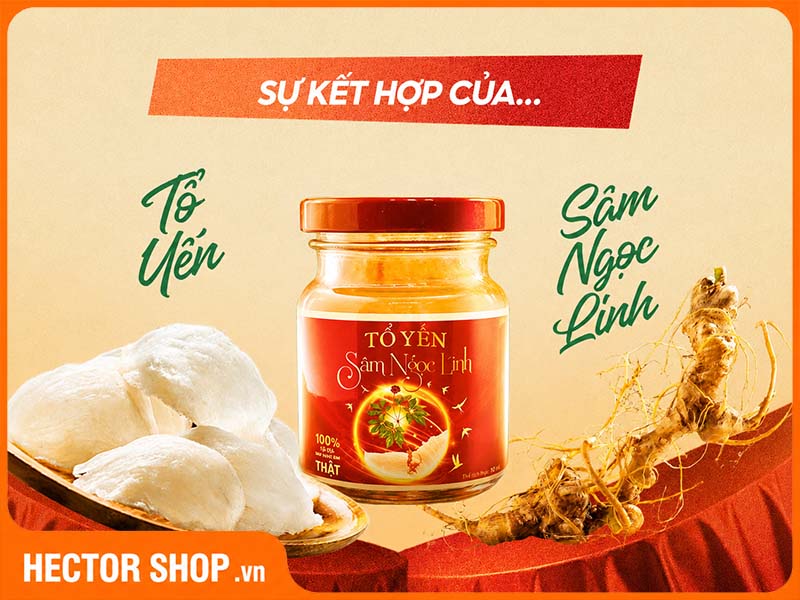 Điểm nổi bật của nước Yến Sào Sâm Ngọc Linh K5