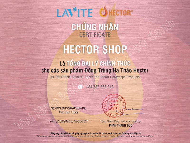 Giấy chứng nhận Tổng đại lý Hector