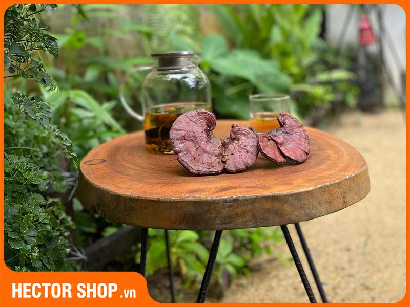 Cách sử dụng nấm linh chi rừng Linasa
