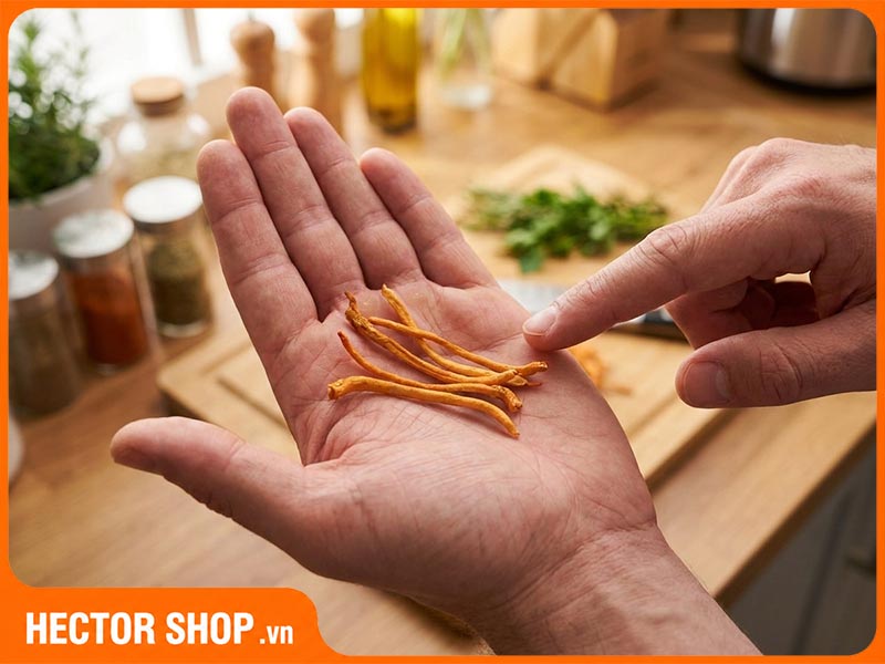 Ăn đông trùng hạ thảo trực tiếp