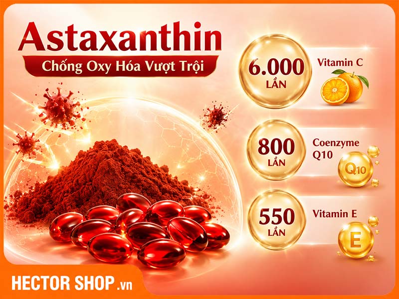 Astaxanthin - "Nhà vô định" trong khả năng trung hoà các gốc tự do
