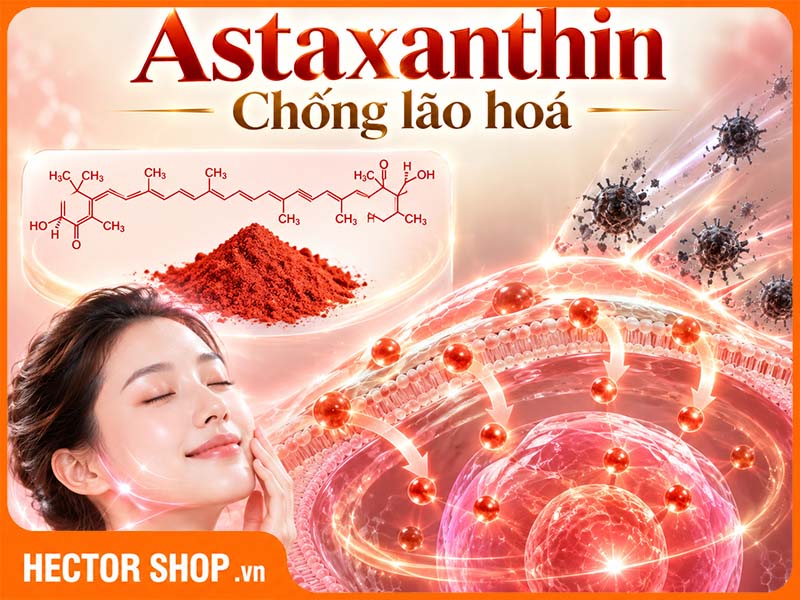 Astaxanthin chống lão hoá vượt trội hơn các chất chống oxy hoá khác