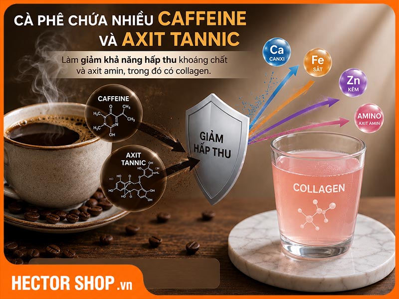 Cafe làm giảm khả năng hấp thu collagen