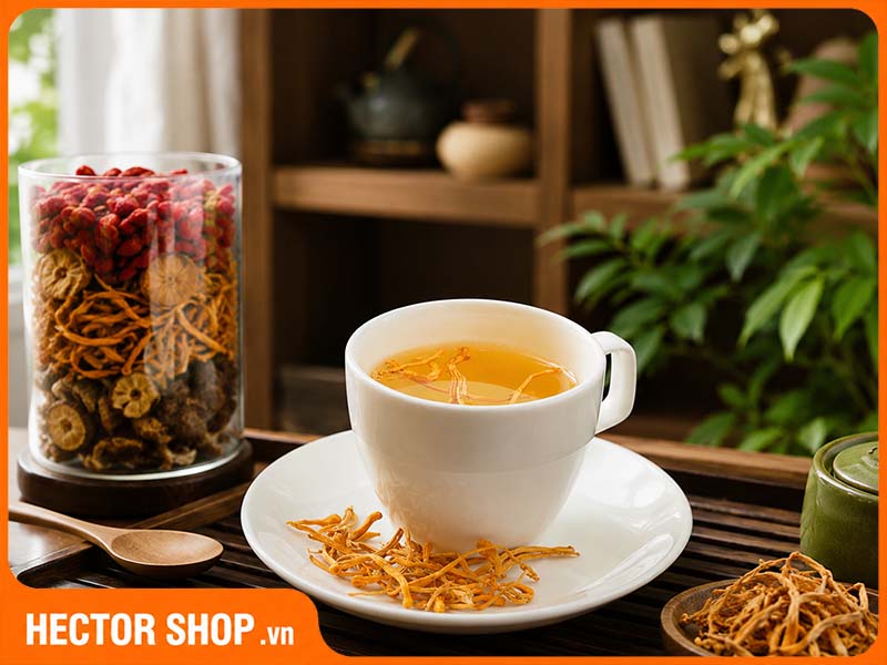 Có Nên Uống Nấm Đông Trùng Hạ Thảo Thường Xuyên Không