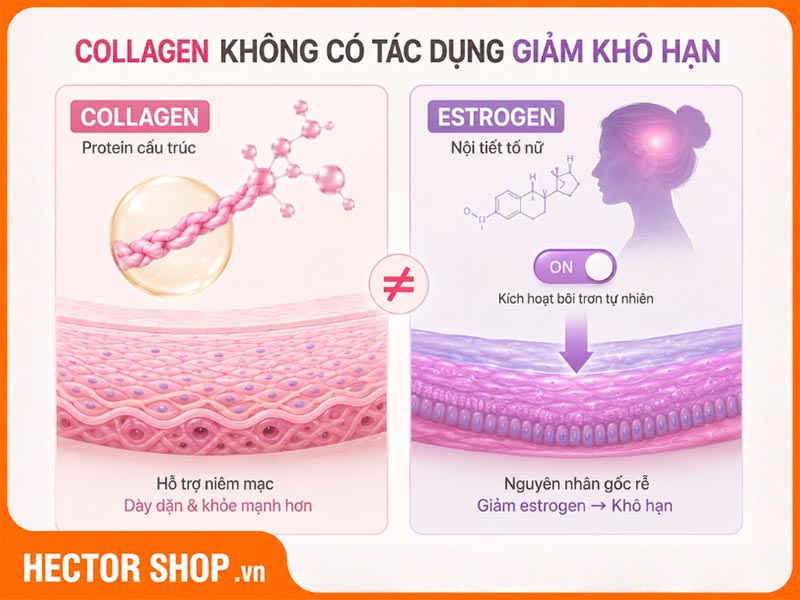 Collagen đơn thuần không có tác dụng giảm khô hạn