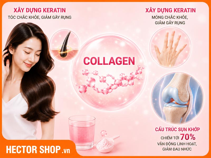 Collagen giúp móng tóc chắc khoẻ, bảo vệ xương khớp