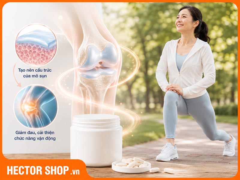 Collagen hỗ trợ bảo vệ xương khớp khoẻ mạnh