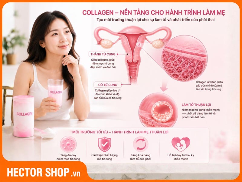 Collagen hỗ trợ gián tiếp hành trình làm mẹ