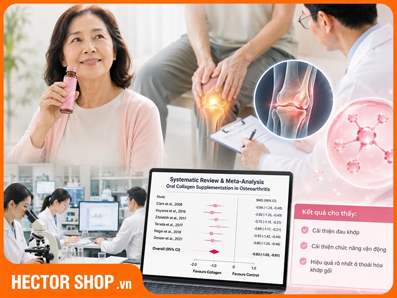 Collagen hữu ích đối với người thoái hóa khớp
