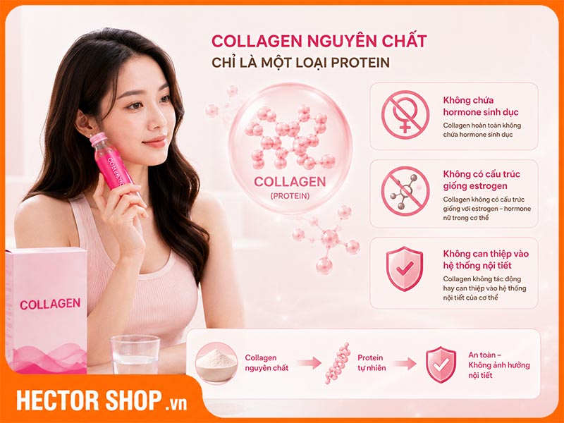 Collagen không ảnh hưởng đến sự phát triển của các khối u xơ tử cung