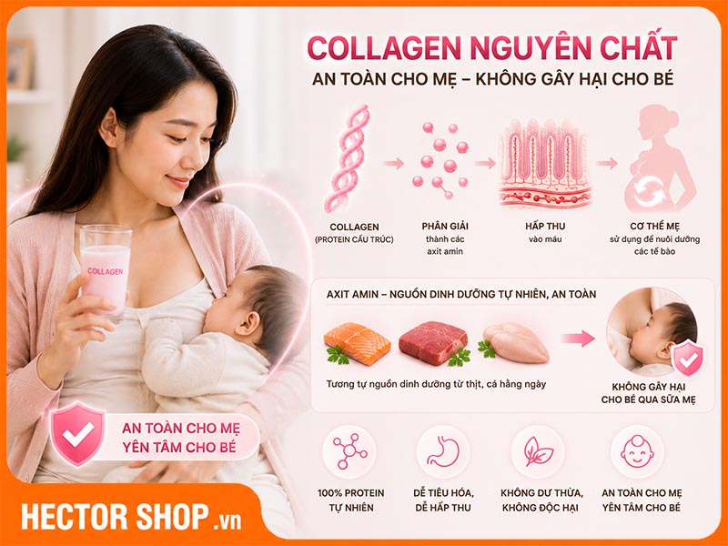 Collagen không ảnh hưởng đến sức khoẻ của bé qua đường sữa mẹ