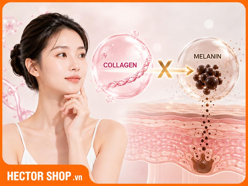 Collagen nguyên chất không có tác dụng làm trắng da