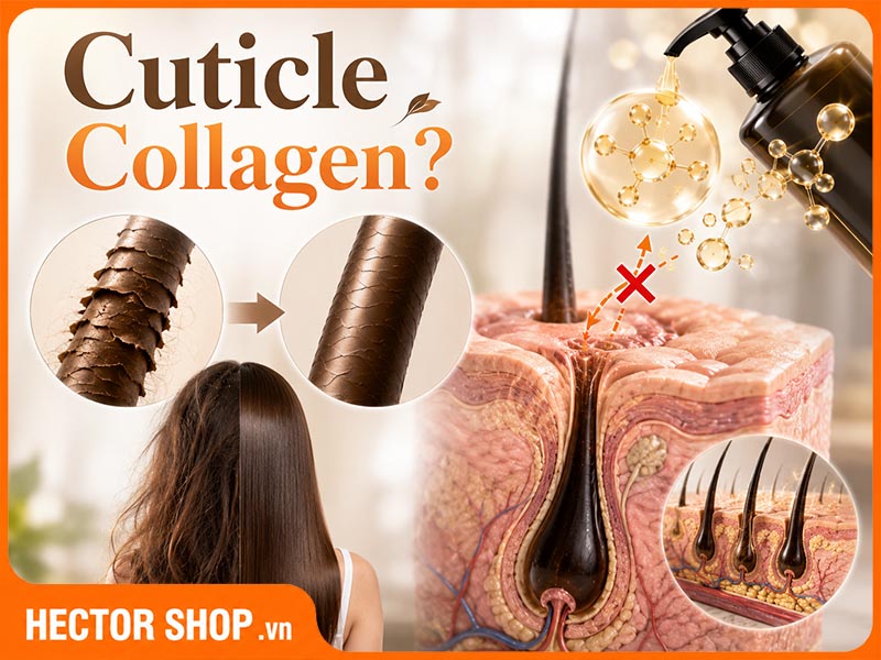 Collagen trong dầu gội khó thẩm thấu vào trong thân tóc