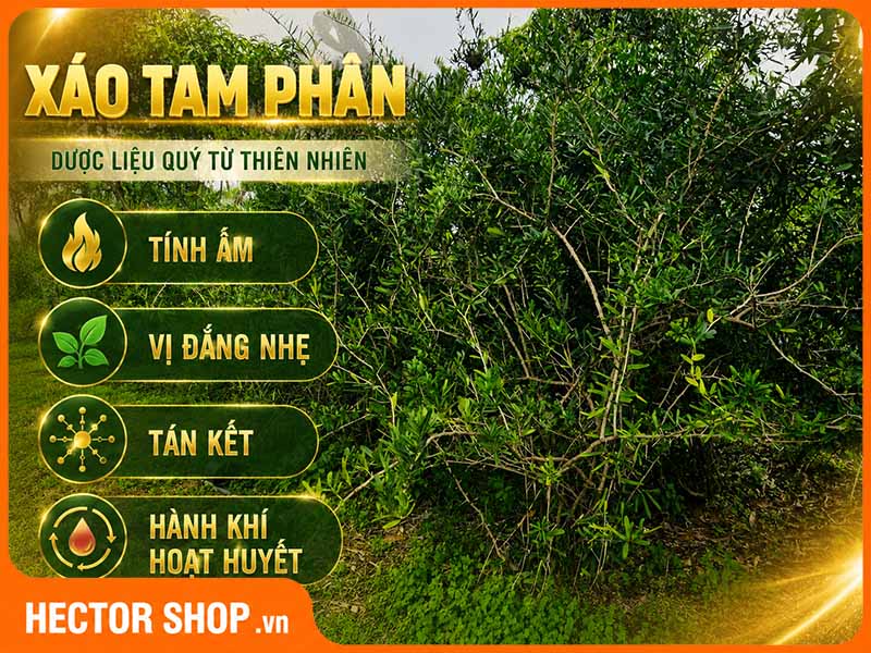 Đặc tính của xáo tam phân không phù hợp với tất cả mọi người